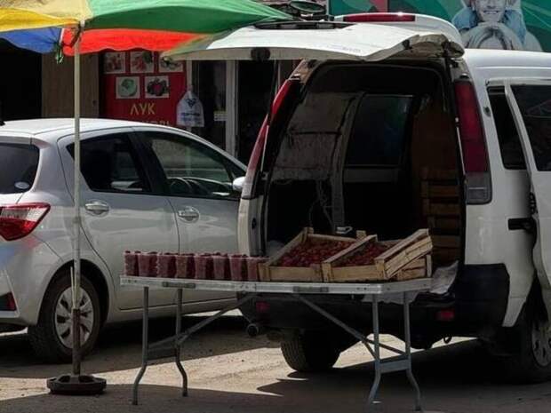 Автолавки вернутся в забайкальские сёла — власти одобрили инициативу