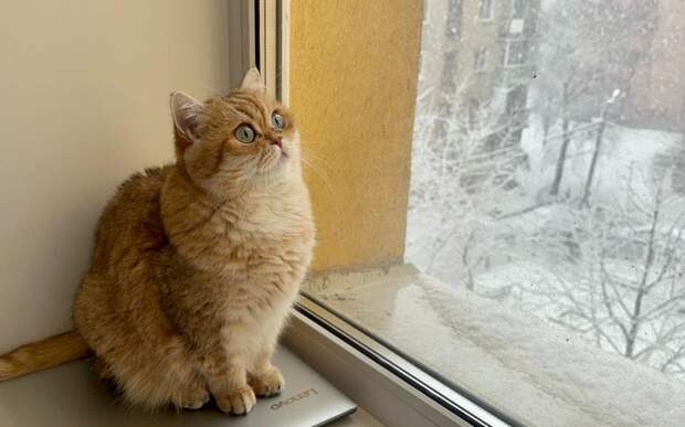 В Рязанской области 14 января ударят морозы до – 18 градусов