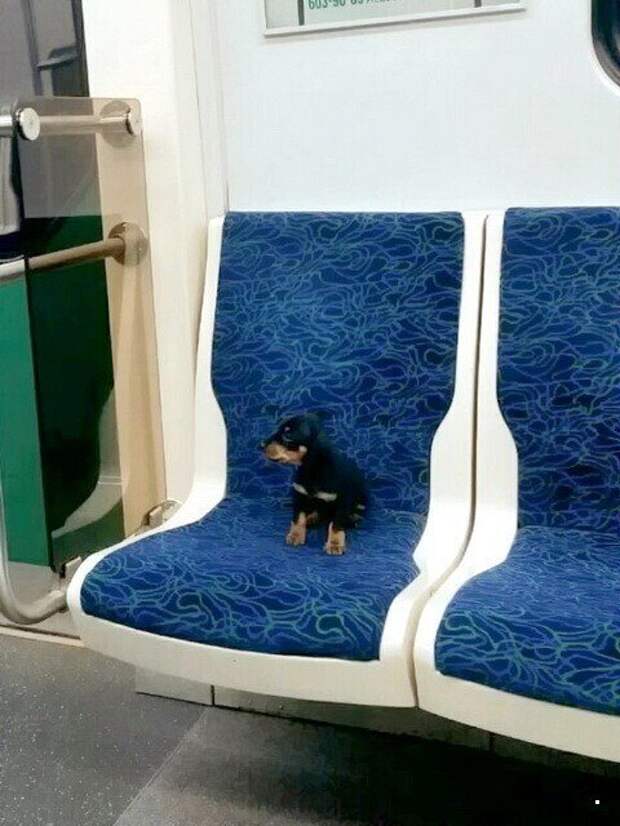 Чудики и не только в метро