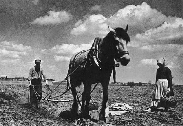 СССР 1930-40-х годов на документальных ретро-фотографиях Евгения Халдея.