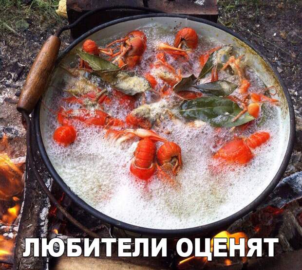Свежие демотиваторы понедельника для хорошего настроения (11 фото)