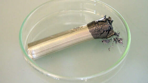 «Оловянная чума», погубившая армию Наполеона и экспедицию Роберта Скотта в Антарктиде