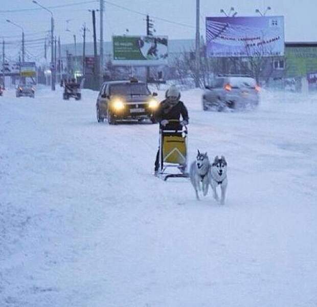 Ростов-на-Дону: четвертый день в снежном плену
