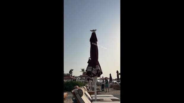 ПВО в Дубайской народной республике) https://t.me/webmoney_dn/315461Video: Клип