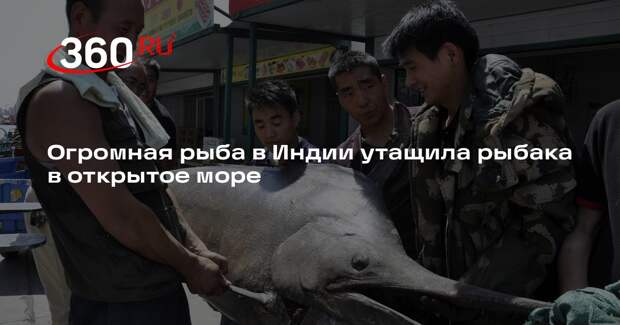 Огромная рыба в Индии утащила рыбака в открытое море
