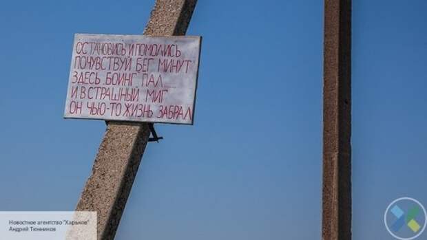 Запад планировал вторжение в Донбасс под прикрытием крушения «Боинга-777»