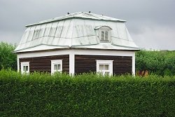 Живая изгородь