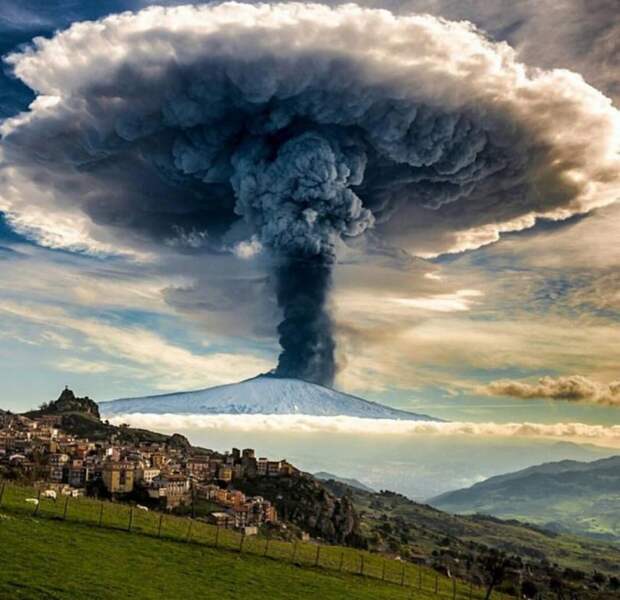 Всякая прикольная всячина, фото и картинки 46