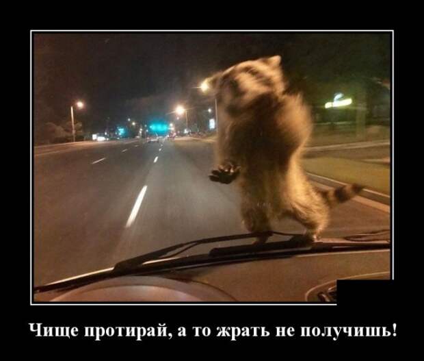 Демотиваторы (30 фото)