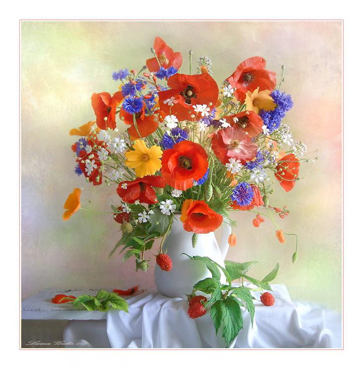 Фото жизнь - Luiza Gelts - Still  Lifes - В разгар лета