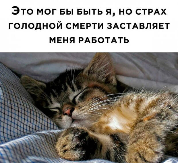 мем