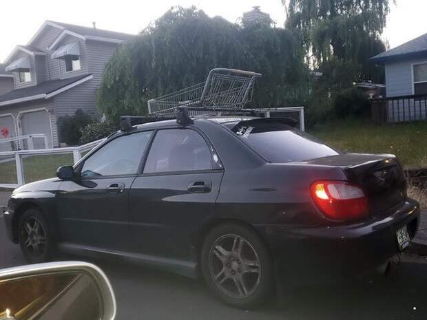 Автовсячина