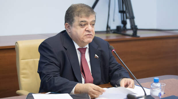 В Совфеде заявили, что спецслужбы Запада не оставят Россию в покое