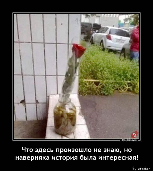 Свежие, прикольные демотиваторы