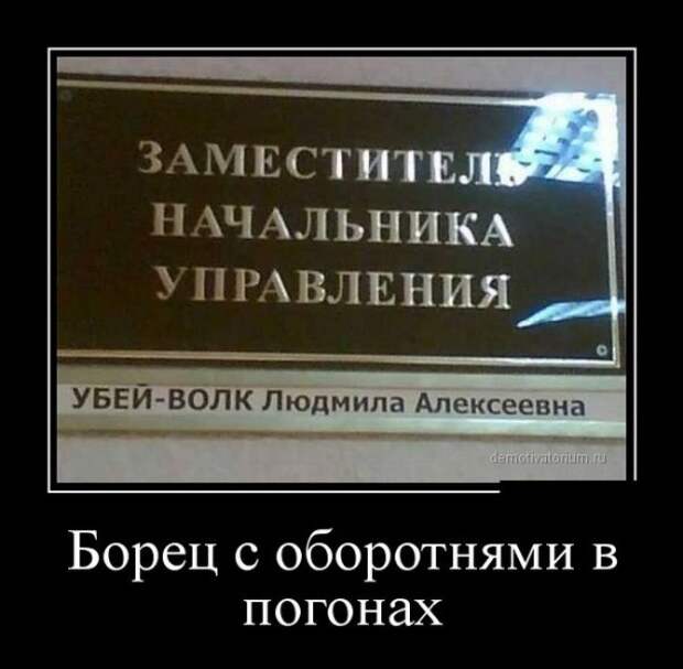 Обо всём.