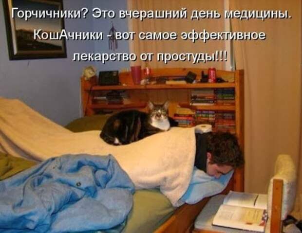 a4eecb2de60845a509031d8c47f_prev