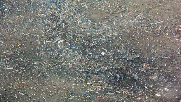 Ватные палочки и остальной мусор на Люберецких очистных сооружениях