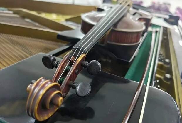ДШИ Кузбасса получили уникальные скрипки французских мастеров