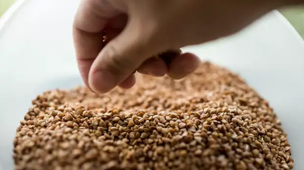 Производители опровергли возможность дефицита гречки в России