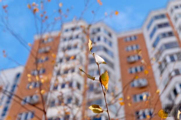 Гидрометцентр прогнозирует облачность с прояснениями в Москве 20 марта