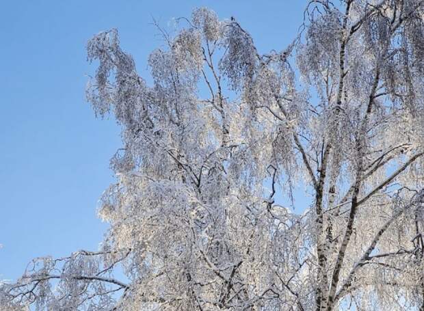 В Тульской области ожидается резкое похолодание