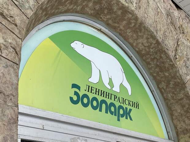 Ленинградский зоопарк вновь открыл выставку о выживании в годы блокады