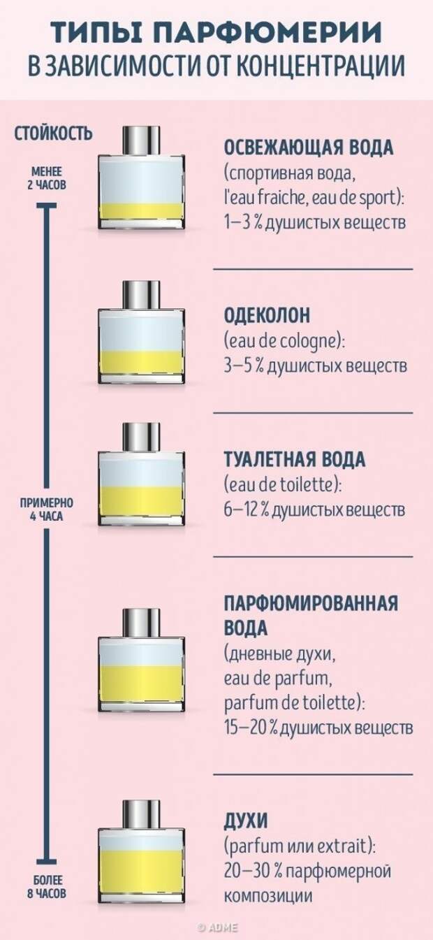 Шпаргалки для тех, кто хочет стать настоящим эрудитом Шпаргалки для тех, кто хочет стать настоящим эрудитом