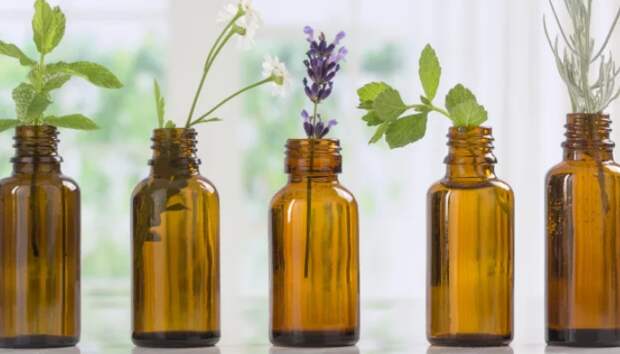 В древности люди умели не только добывать, но и хранить аромамасла/Фото:thewordsvision.com В древности люди умели не только добывать, но и хранить аромамасла/Фото:thewordsvision.com