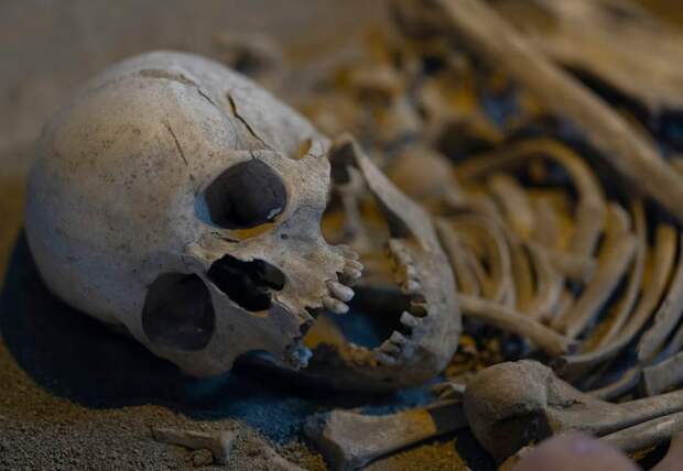 В геноме человека обнаружили «призраков»