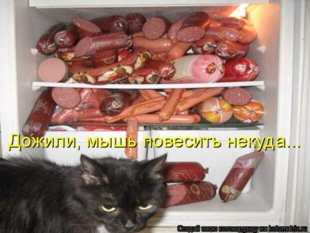 Прикольная котоматрица за неделю