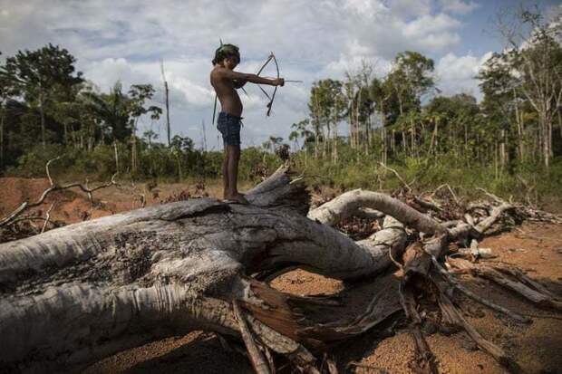 Охота с луком и сериалы по ТВ: вся правда о том, как сегодня живут племена Амазонии