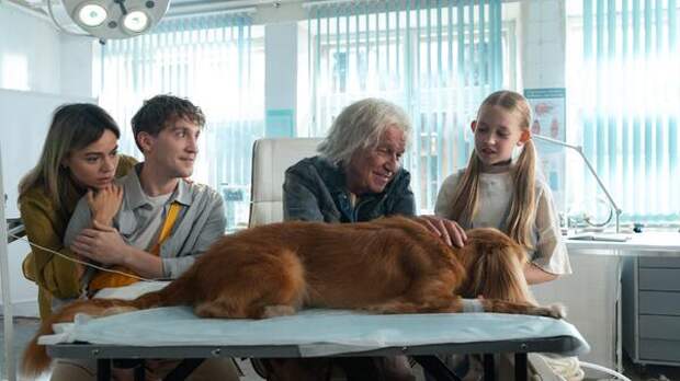 Сергей Гармаш говорит с животными в трейлере семейной комедии «Доктор Гаф»