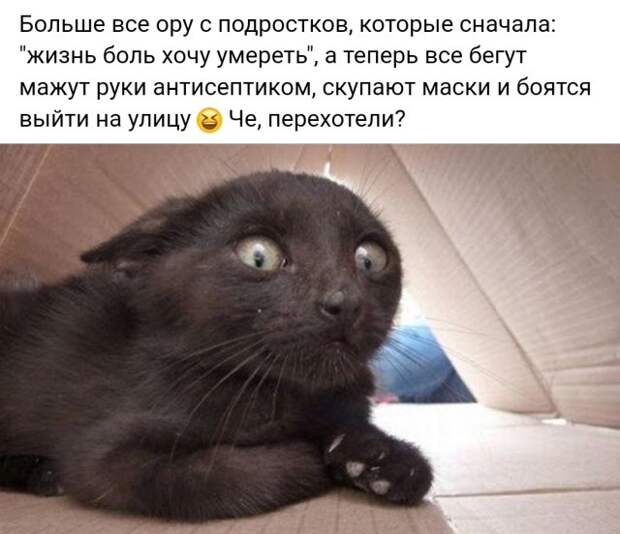 Веселые картинки вечер 17 марта