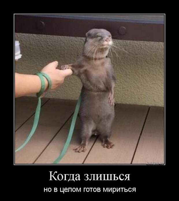 Свежие демотиваторы