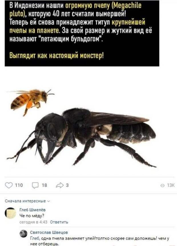 www.vsyako.net