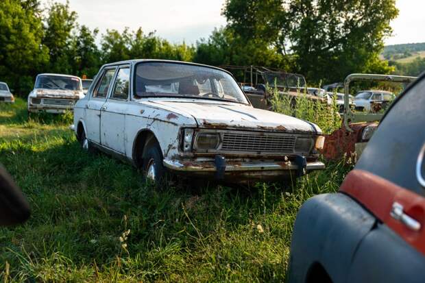 В Тульской области посреди поля гниют 330 авто