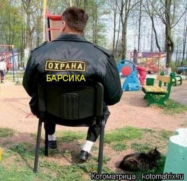 Котоматрицы(картинки с надписями)