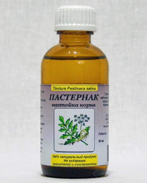Настойка корня пастернака
