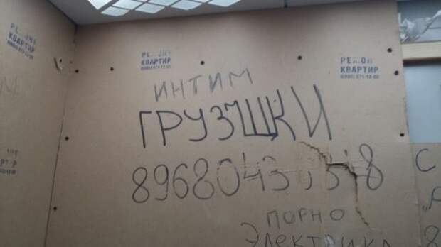 Смешные объявления, вывески и реклама (20 фото)
