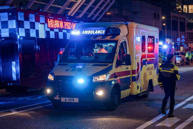 Сбежавший кот погубил хозяина