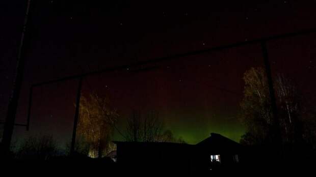 Источник фото: Mash Siberia