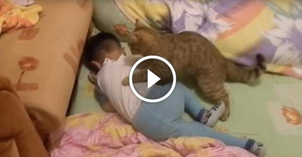 Ребенок заплакал и кот прибежал его утешать