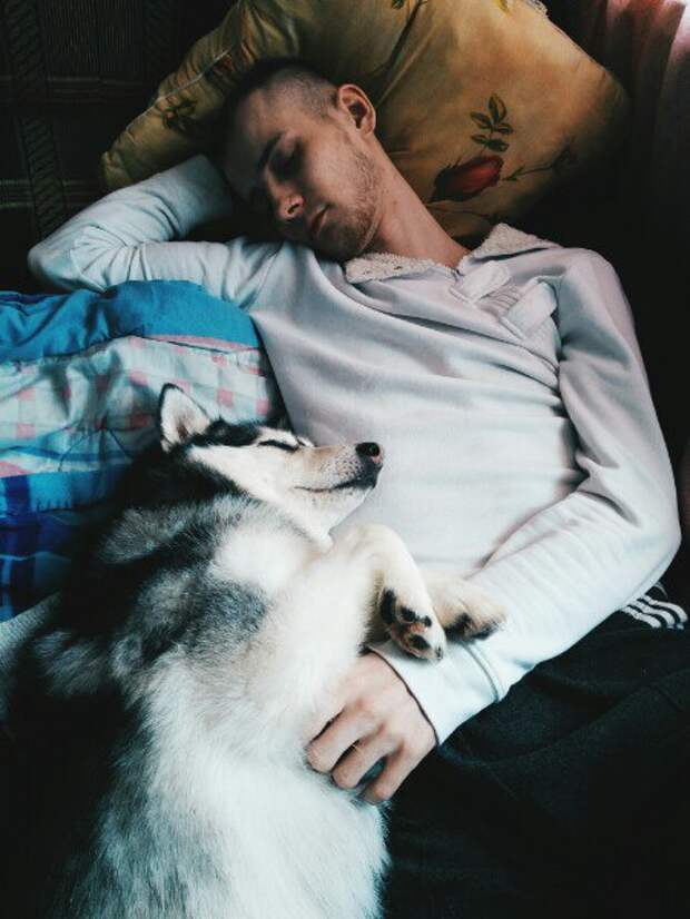 Замерзшая хаски 3 дня пролежала под балконом без движения Замерзшая хаски 3 дня пролежала под балконом без движения балкон, история, собака, хаски