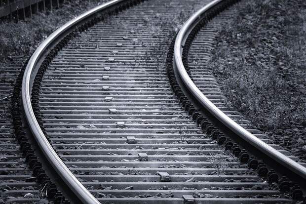 Фото: pixabay.com