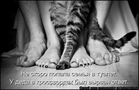 Котоматрицы