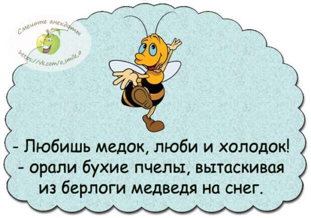 Где там и медок. Любишь Медок люби и холодок. Анекдоты про пчел. Любишь Медок люби и холодок анекдот. Любишь Медок люби и холодок кричали пьяные пчелы.