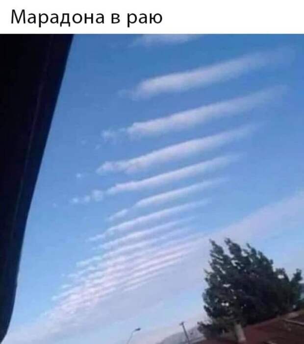 Немного странного и черного юмора