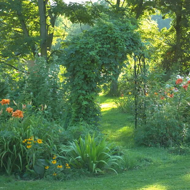 arbor-and-archway-in-garden2-4.jpg