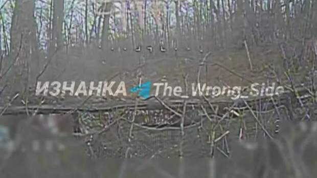 Техничное уничтожение украинской гаубицы сняли на видео