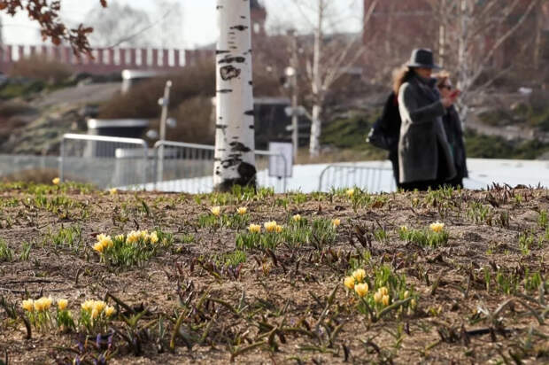 Синоптик Позднякова: на неделе в Москве потеплеет до +15 градусов